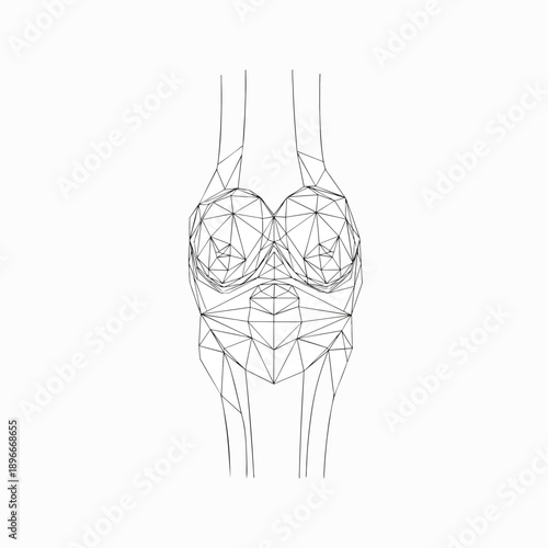 Geometric Knee Joint Diagram