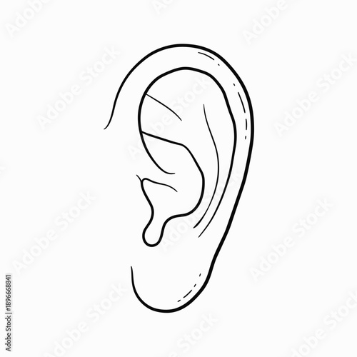 Black And White Line Drawing Of A Human Ear