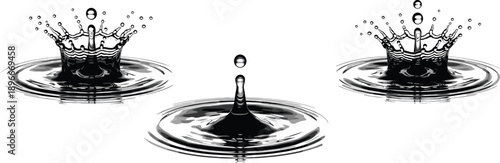 Water droplet splash crown ripple set monochrome vector illustration showing liquid impact waves isolated on white background clean design