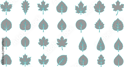  described features a collection of grey leaves arranged in a structured format agains