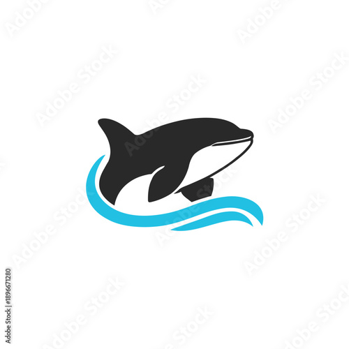 Black and White Orca Illustration Design.
