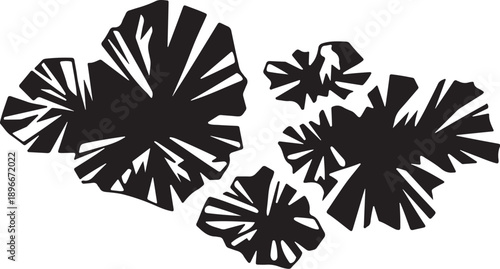 Black Silhouette of Tropical Palm Leaves on White Background
