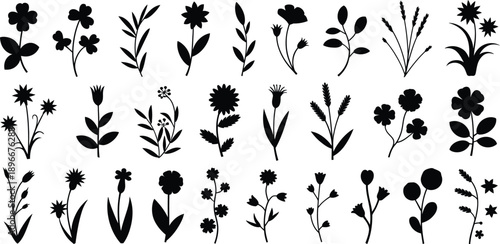 Assortment of floral and grass plant silhouettes, botanical flower shapes and wild vegetation elements isolated on white background vector set.