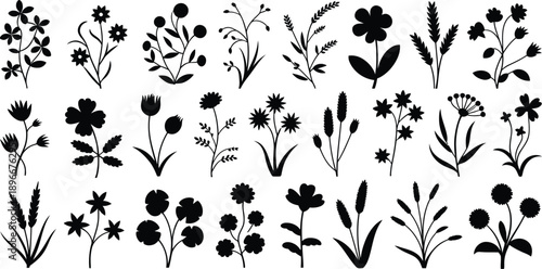 Assortment of botanical flower and grass silhouettes, black plant shapes for nature design, decoration and graphic illustration on white background.
