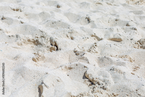 Loose sandy beach surface with footprints. Relaxation on vacation. Background. Space for text.