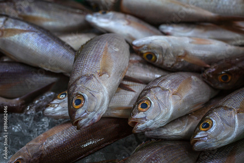 Fresh silver fish at the market. Healthy eating and wholesome products. Close-up.