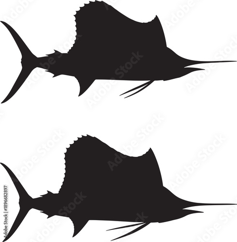 Two sailfish swimming in the ocean