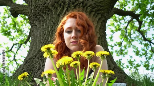 Redhead looking at dandelions