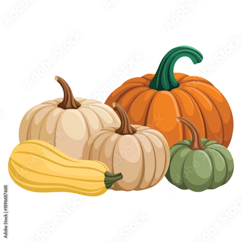 Bountiful autumn harvest shown through pile of ripe colorful pumpkins vector illustration isolated representing seasonal farming and fall abundance