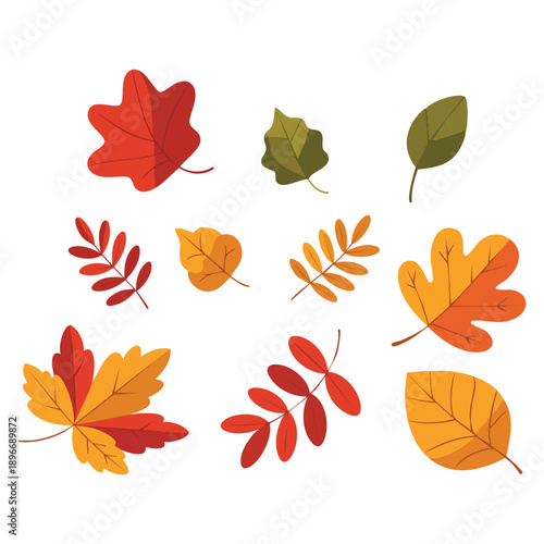 Colorful autumn leaves vector graphics ideal for fall season decoration seasonal background nature illustration and harvest themed design projects