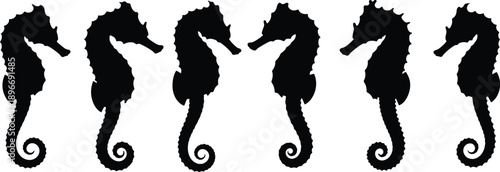 Seahorse silhouettes collection featuring elegant marine animals, ocean wildlife shapes and aquatic vector illustrations isolated on white background