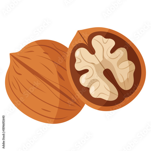Flat clipart vector illustration of walnut ideal for healthy food design nutrition concepts organic grocery branding and natural ingredient themed projects
