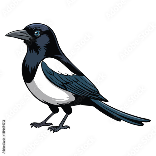 Flat vector icon illustration of clever magpie designed for web use featuring smart bird wildlife nature theme and decorative interface design