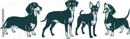 Dog breed silhouettes set featuring dachshund and mixed dogs, flat vector illustration of domestic pets standing isolated on white