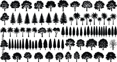 Set of various tree silhouettes including pine palm oak and cypress shapes isolated on white background, ideal for landscape design, forestry, nature icons, and vector illustration use