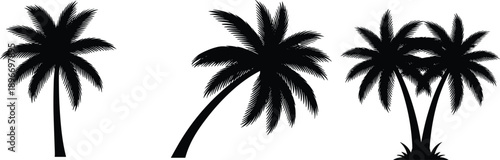 Palm tree silhouette set with tropical coconut palms in different shapes, summer beach nature elements isolated on white background vector illustration