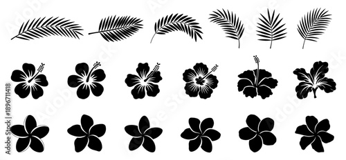 Hibiscus blossom, plumeria flower, palm frond, silhouettes collection, various and detailed styles, three distinct tropical silhouettes solid black fill no text for tracing and digital conversion.