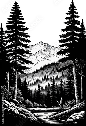 Minimalist black and white fine-art mountain landscape featuring serene pine forests and a peaceful stream in Sri Lanka.
