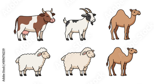 Cow Goat Sheep Camel Vector Illustrations.
