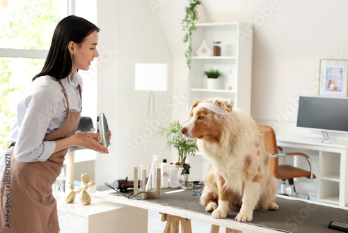 Female groomer with mirror ...