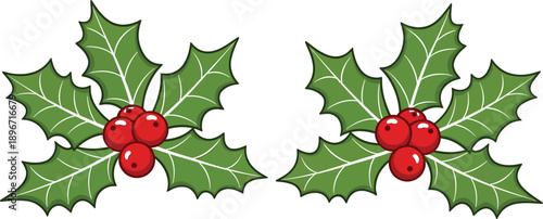 Pair of Festive Winter Holly Sprigs with Vibrant Red Berries and Lush Green Leaves on White Background