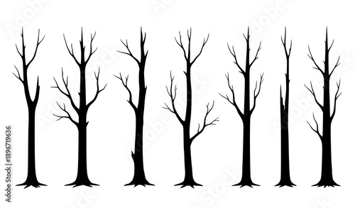 Realistic Dead Tree Silhouette Vector Set of Natural Dying Old Forest Trees