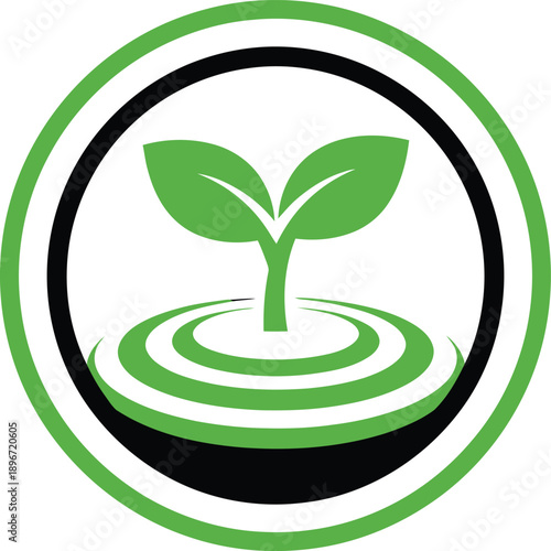 Green plant seedling growing from ripples in water, symbolizing growth and nature