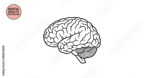 Detailed illustration of a human brain with a 'Mental Health' tag, symbolizing neuroscience, cognitive function, and mental well-being, isolated white background.