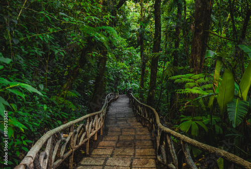 Schilderij op canvas Incredible Nature Path Through Jungle Rain Forest to La Paz Waterfalls Costa Rica