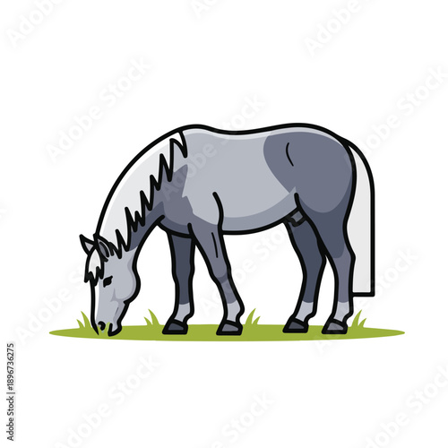 A gray horse grazing on green grass