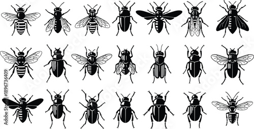 Collection of Cactus Silhouette Vector Illustration Set, Different Desert Plant Species Including Saguaro Prickly Pear and Organ Pipe for Wild West Nature Graphic Design