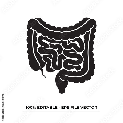 Black silhouette of human intestines, showing the large and small bowel, an anatomical illustration of the digestive system.