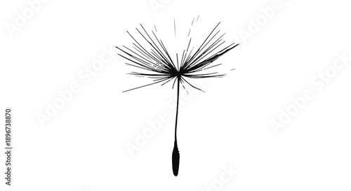 Delicate dandelion seed floating gracefully on a white background, symbolizing new beginnings and hope.