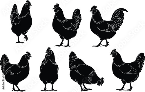 Vector, black, silhouettes, of, various, chickens, and, hens, in, standing, walking, and, pecking, poses, for, poultry, farming, livestock, agriculture, and, organic, food, graphics