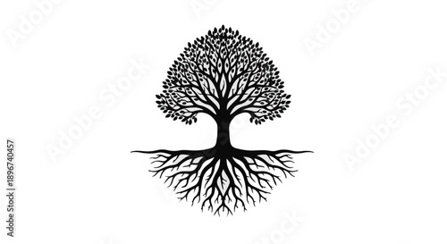 Intricate silhouette of a mature tree with expansive, detailed roots against a clean white background.