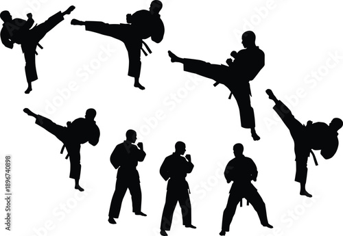 Set of karate and martial arts fighter silhouettes performing high kicks and combat stances, black athletic human figures isolated on white background for sport and self defense concepts