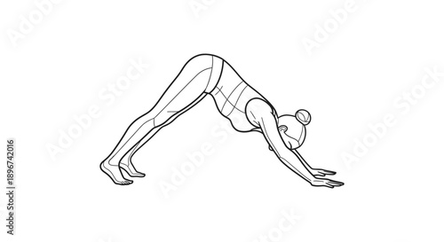 downward facing dog yoga pose line art illustration for fitness flexibility core strength and mindful wellness.