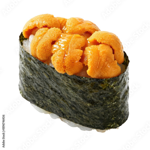 Sushi sea urchin nigiri rice gourmet delicacy closeup