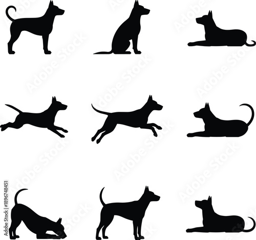 Set of dog silhouettes with various poses including sitting standing running jumping and playing for pet shop animal clinic and canine training vector