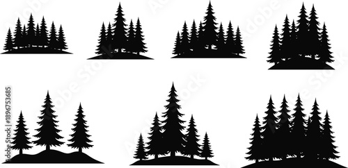 Pine forest silhouette collection showing evergreen trees in black vector style for nature, landscape, ecology and outdoor design illustration concepts