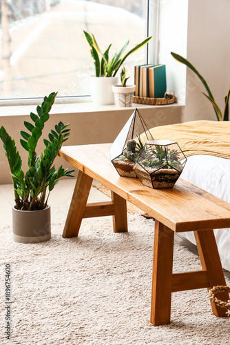 Florariums on wooden bench ...