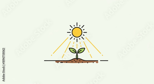 Small green plant grows under warm sunlight with rays on brown soil with black lines on a light green background symbolizing nature and growth