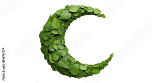 Green leafy letter c shape on white background symbolizing eco friendly and natural concepts