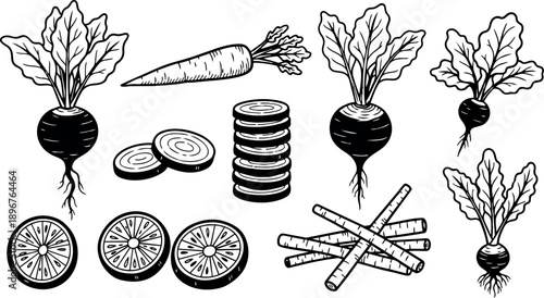 Black and white line art of whole and sliced root vegetables including beets, carrots, and radishes in detailed botanical illustration style