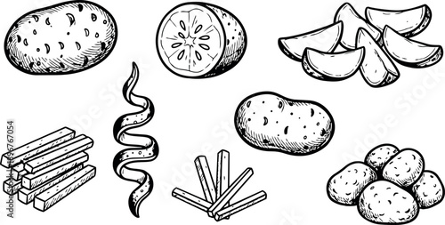 Hand drawn sketch style collection of whole potato, potato slices, peel spirals, fries and wedges illustration in black and white line art