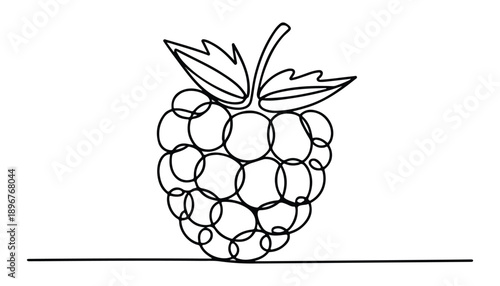 One continuous line illustration of an Blackberry, isolated on white background.