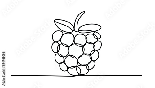 One continuous line illustration of an Blackberry, isolated on white background.