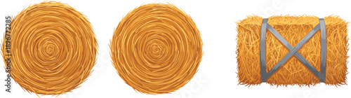 Hay bale illustration set showing round and square straw bundles isolated on white background rustic agriculture farming concept