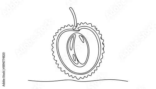 One continuous line illustration of an Lychee fruits, isolated on white background.