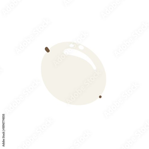 Peeled Lychee Fruit Vector Icon. Isolated White Tropical Sweet Food Ingredient Illustration.